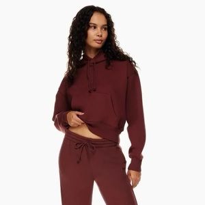 Aritzia: TNA COZY FLEECE BOYFRIEND BOXY HOODIE